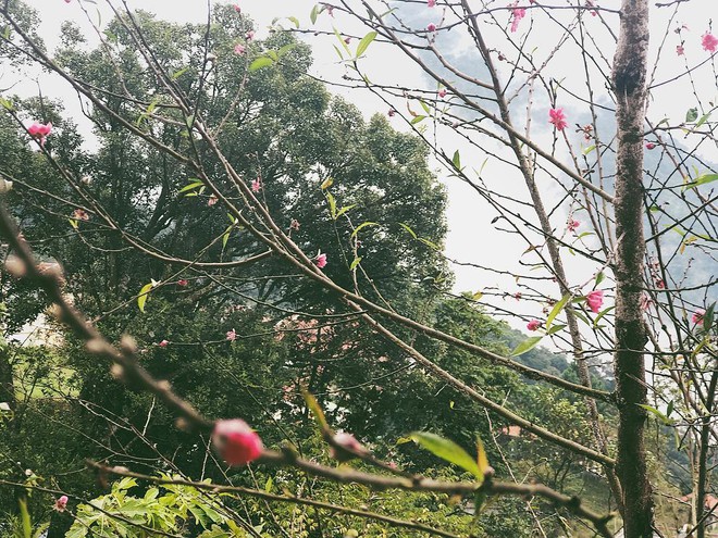 Phong cảnh thiên nhiên hữu tình