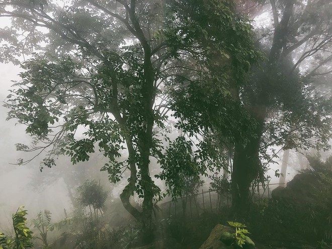 Thiên nhiên bao trùm không gian sống