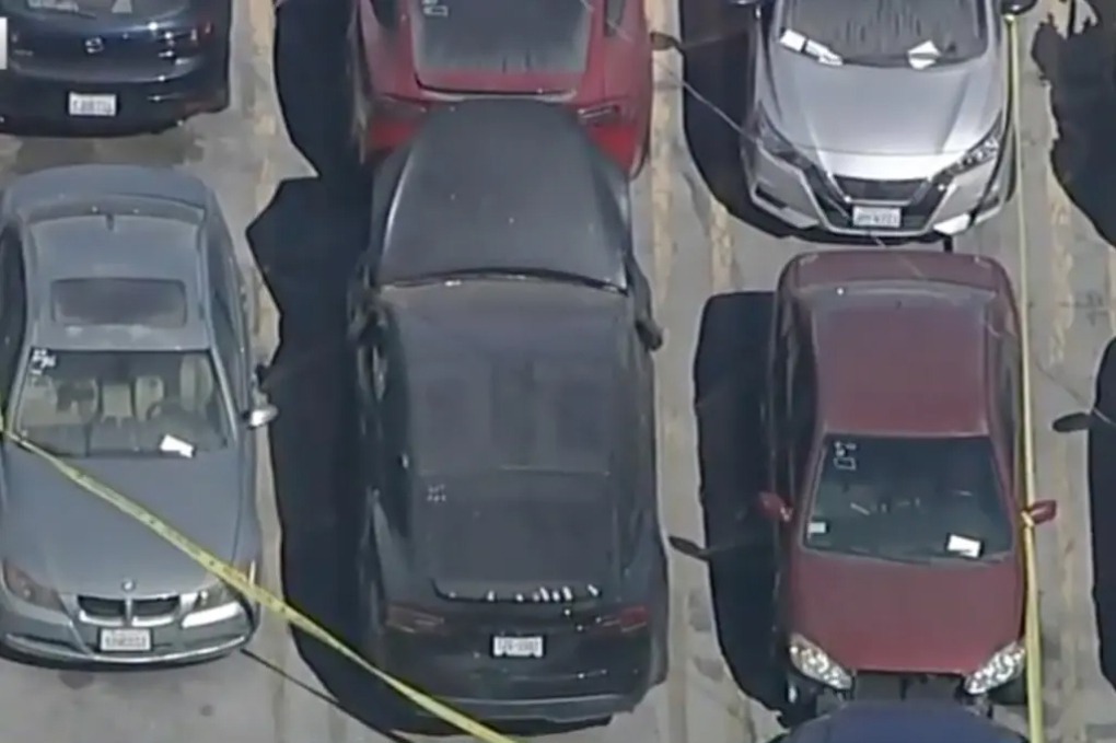 Xe Tesla màu đen có thi thể bên trong
