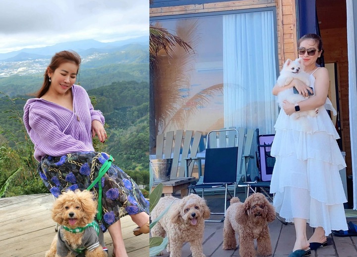 Kiều Linh chọn cuộc sống độc thân, không con cái sau đổ vỡ. Kiều Linh chọn cuộc sống độc thân, không con cái sau đổ vỡ.