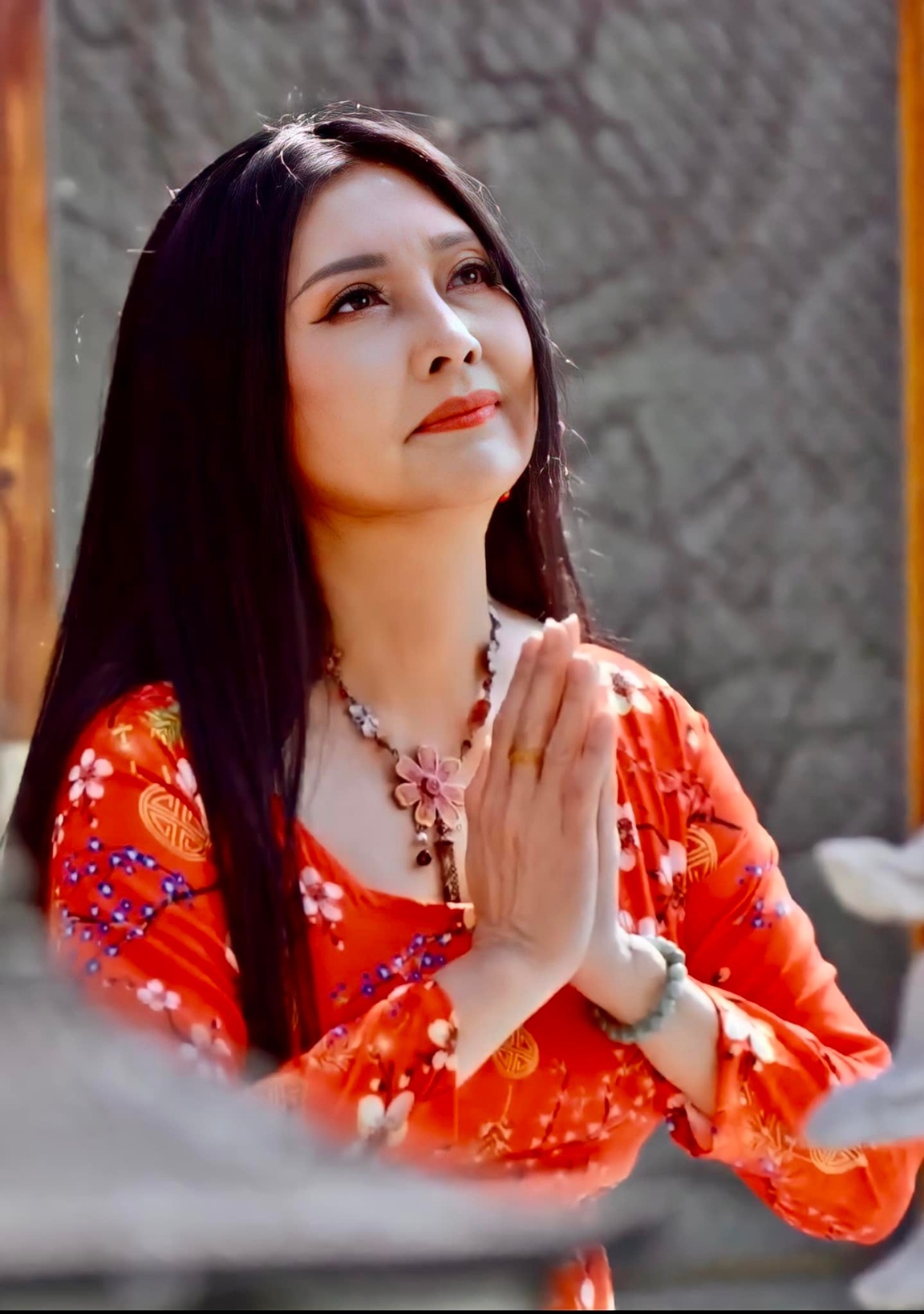 Họa Mi trên sân khấu Việt Nam