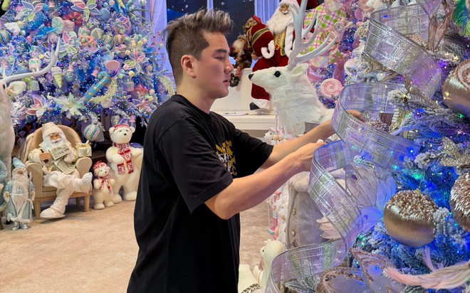 Biệt thự hai mặt tiền của Đàm Vĩnh Hưng ở TP.HCM